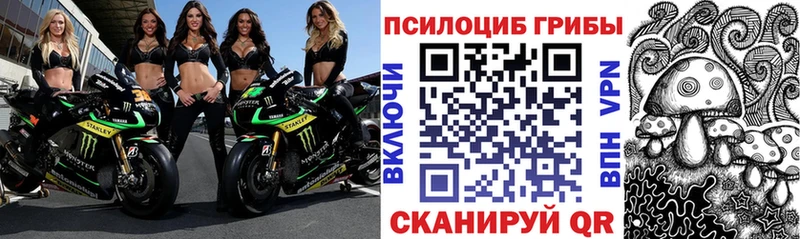 МЕГА tor  Сосновоборск  Псилоцибиновые грибы GOLDEN TEACHER 